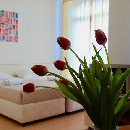 호텔 Rainbow 2 Complex 3*